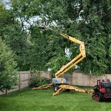 Best Hazardous Tree Removal  in Bridgeport, WA