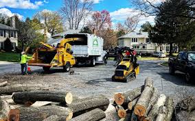 Best Emergency Tree Removal  in Bridgeport, WA