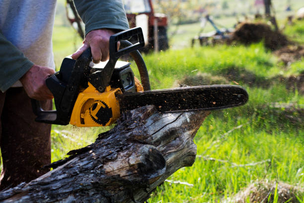 Best Seasonal Cleanup (Spring/Fall)  in Bridgeport, WA